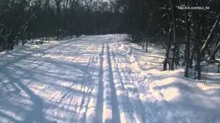 Бомбилы на 