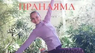 ПРАНАЯМЫ. АНУЛОМА ВИЛОМА. НАДИ ШОДДХАНА.
