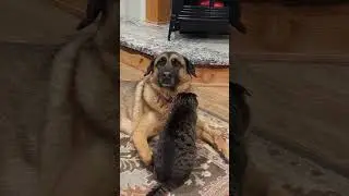 Friends by the Fire 