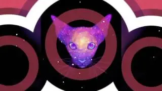 Котики (по скрипту слайд шоу)