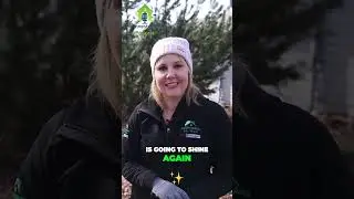 Revamping a Run Down House Transforming Dreams Into Reality
