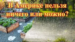В Америке нельзя иметь огород в Америке нельзя собирать дождевую воду или ......