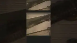 予告 