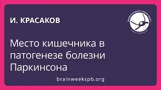 Место кишечника в патогенезе болезни Паркинсона (Игорь Красаков)