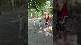 Алабай Булат на площадке с папой