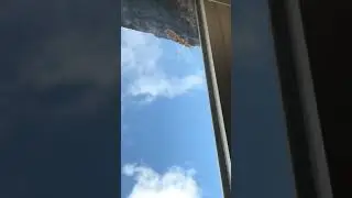 Me and my friends knocking and spraying down wasp nests