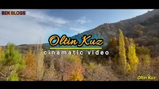 URGUT TUMANIDA OLTIN KUZ FASLI || УРГУТ ТУМАНИДА ОЛТИН КУЗ ФАСЛИ 