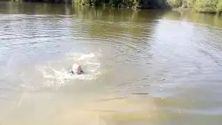 ЛЕТО В ДЕРЕВНЕ июнь 2018