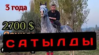 ДАКАР ДОНИДЕН