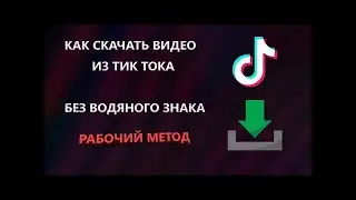 Как скачать видео с тик ток без водяного знака (надписей) в 2020 году
