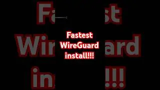 Fastest WireGuard install! 
