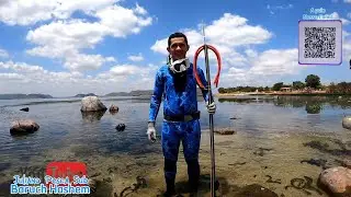 Pesca-SUB Velho chico teve aquele peixe frito no disco de arado