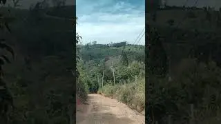 Uber Rural Salesópolis SP
