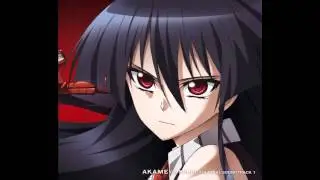 Akame Ga Kill ost 09  激戦 Gekisen