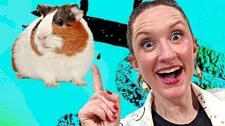 What's the Problem Here? | The Loop Show