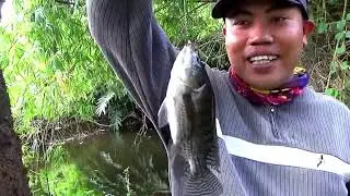 Spot dulu ikan nya yang  masih sangat gampang sekali strike babon nya