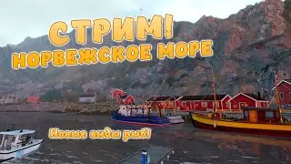СТРИМ! Русская рыбалка 4 - НОРВЕЖСКОЕ МОРЕ! НОВЫЕ ВИДЫ РЫБ! Добро пожаловать!
