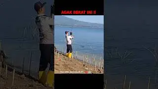 Tak diduga , dapet induk nya !!