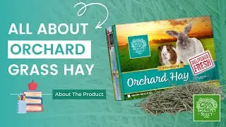 All About Orchard Hay (The Best Hay For Hoomans with Hay Allergies!)