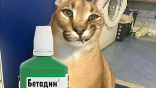 Реклама 