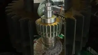10 model 24 teeth Gair video