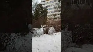 Скоро весна! #shorts