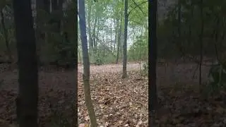 HE GOT SO CLOSE