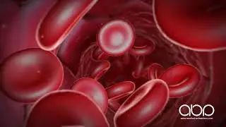 Inside the Arteries -  3D Medical Animation || ABP ©