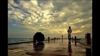 SAYDAM - Yağmur Yağıyor