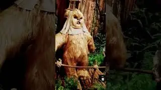 Помните этих милых кровожадных мишек? #starwars