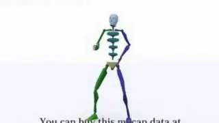pay motion capture data Karate  -seikenduki-