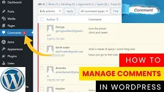 How to Manage Comments in WordPress