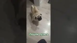 30 августа 2024 г.