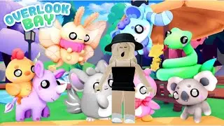 Overlook bay New pets | Сколько выпало?