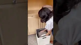 Ashley | Home Organization Ideas 2023