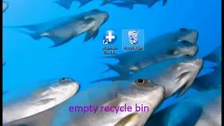 how to recover deleted files from thumb drive