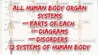 Organ Systems of Human Body | Disorders of Human body Systems | 12 Organ Systems of Human Body