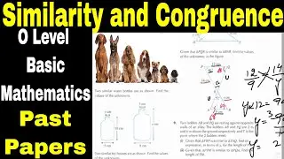 Similarity and Congruence || Conditions  || Exercise Questions || O Level Basic Mathematics