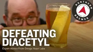 Defeating Diacetyl | Expert Advice from Omega Yeast Labs