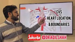 Heart Location and Boundaries #draqilshah #anatomy #physiology