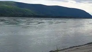 г. 