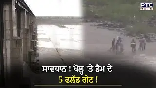 Gujarat News :  ਖੋਲ੍ਹ 'ਤੇ ਡੈਮ ਦੇ 5 ਫਲੱਡ ਗੇਟ ! ਹੜ੍ਹ ਦੇ ਬਣੇ ਹਾਲਾਤ, Alert ਵੀ ਕੀਤਾ ਗਿਆ ਜਾਰੀ, ਵੇਖੋ ਹਾਲਾਤ