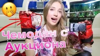 Купила Потерянный ЧЕМОДАН Фитоняшки на АУКЦИОНЕ! А там..