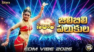 జిలిబిలి పలుకులు చిలకల పలికిన ఓ మైనా మైనా | Jilibili Palukulu EDM Remix 2026 | Old Song vs New Beat 
