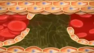 omega3 - важно знать каждому!
