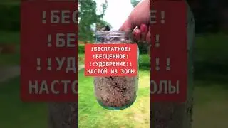 Подкормка золой 