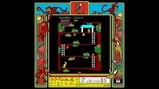 Kangaroo Arcade