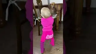 Friendship is over🐾👶🏼 