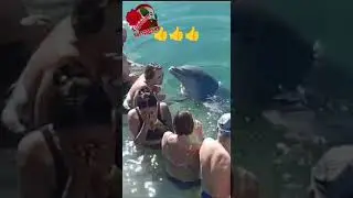 для хорошего настроения😜 ⬇️⬇️⬇️