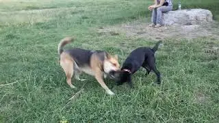 Лёля играет с Мартой